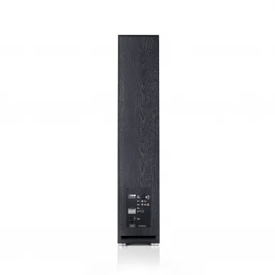 Напольная акустика Canton Smart GLE 9 SET Black